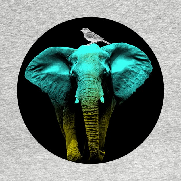 Elephant and a Sparrow by Vin Zzep